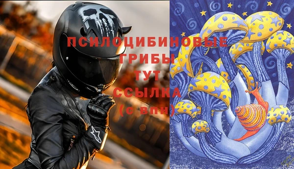 ALPHA PVP Нефтекумск